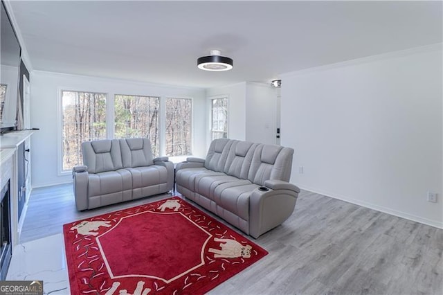 709 Berkeley Woods Unit 709, Duluth, GA 30096 - living room with crown molding, wood finished floors, and a fireplace with flush hearth