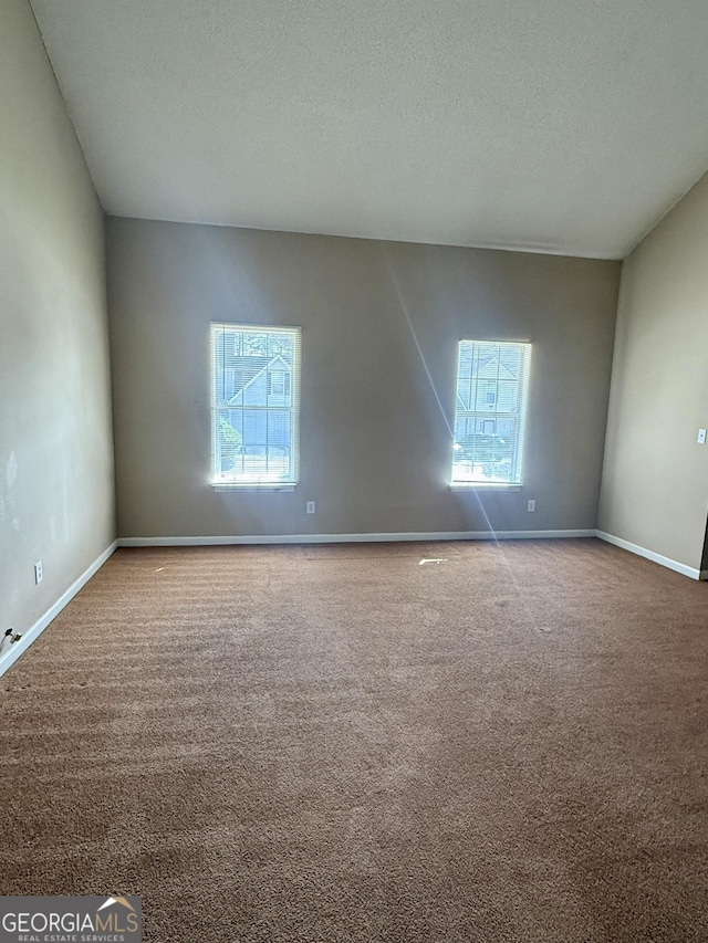 empty room featuring carpet flooring and a textured ceiling