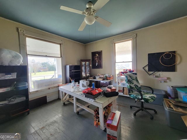 office area featuring hardwood / wood-style flooring, a wealth of natural light, and ornamental molding