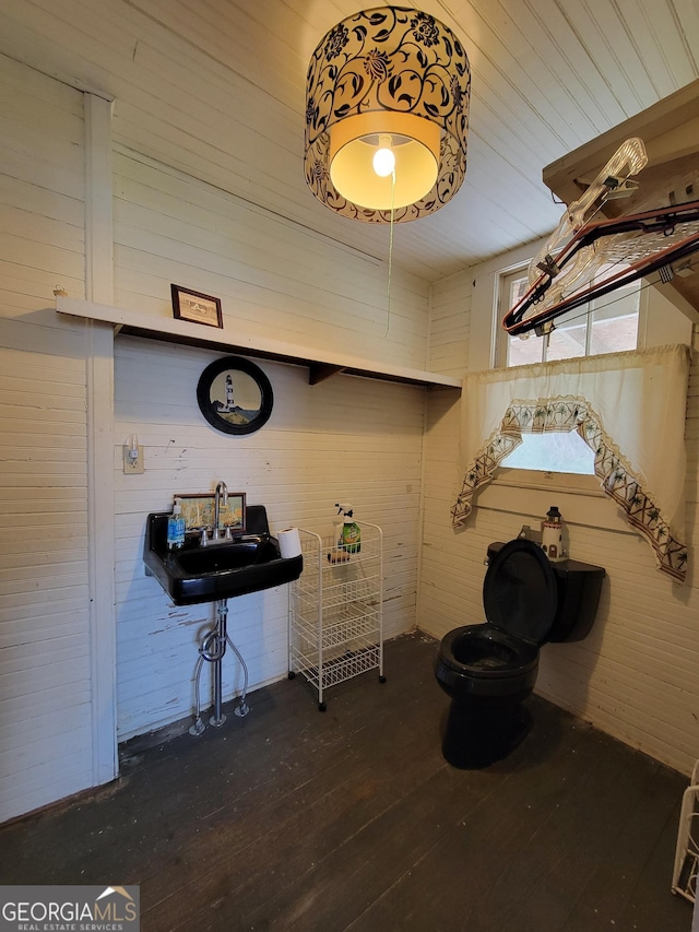 interior space with toilet and wood-type flooring