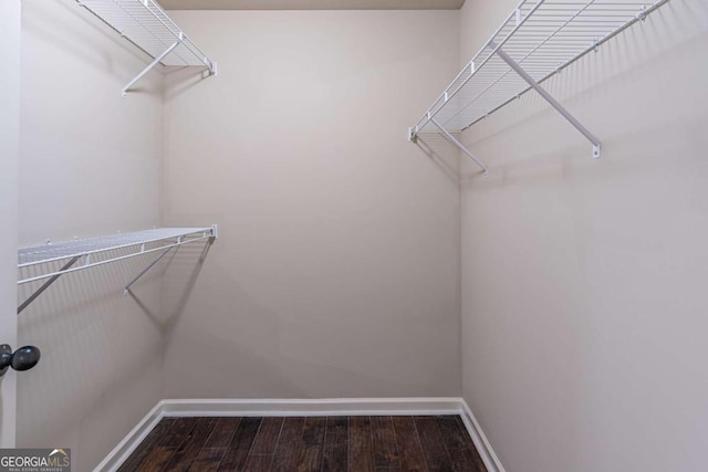 spacious closet featuring wood-type flooring