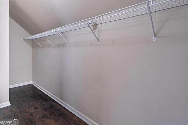 walk in closet with dark wood-type flooring