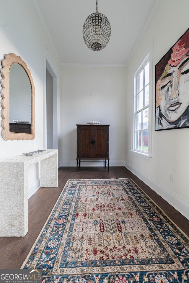 corridor with dark hardwood / wood-style flooring and ornamental molding