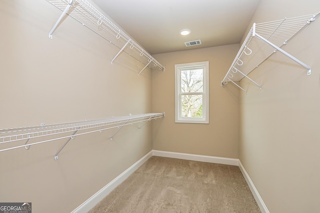 walk in closet featuring carpet flooring