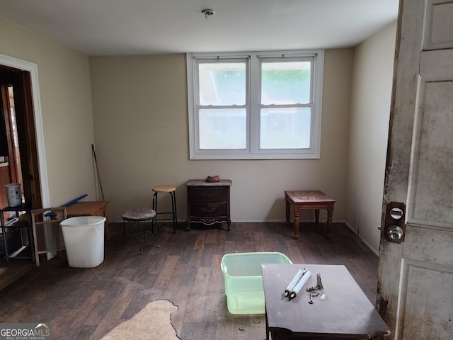 misc room featuring dark wood-type flooring