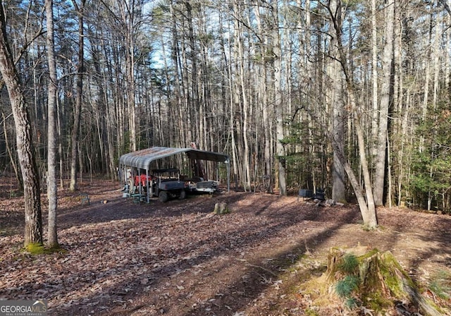 view of yard featuring a carport