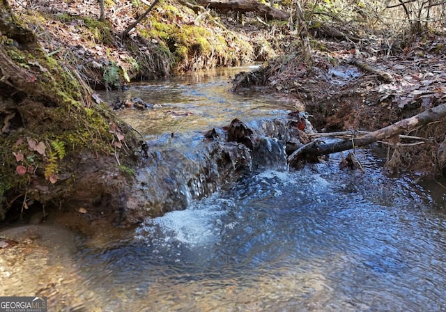 view of local wilderness