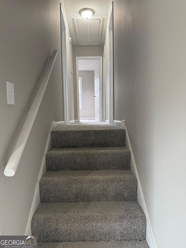 staircase featuring carpet floors and a textured ceiling