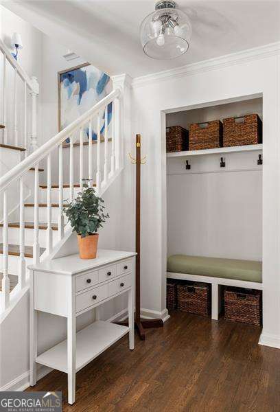 mudroom featuring crown molding and dark hardwood / wood-style floors