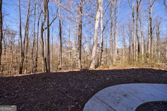 view of yard featuring a patio area and a view of trees