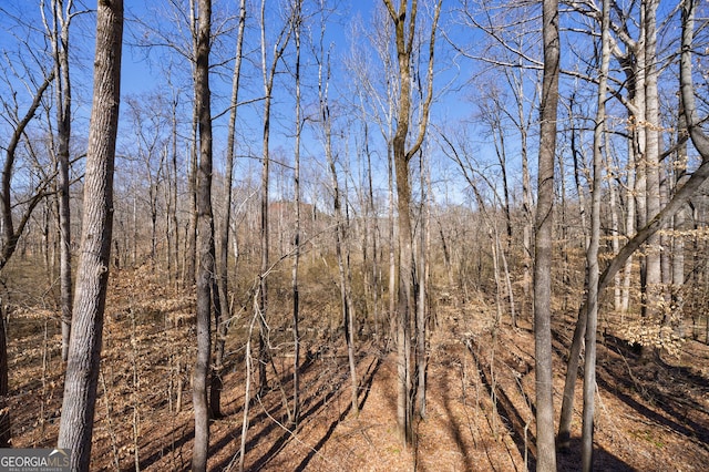 view of landscape with a forest view