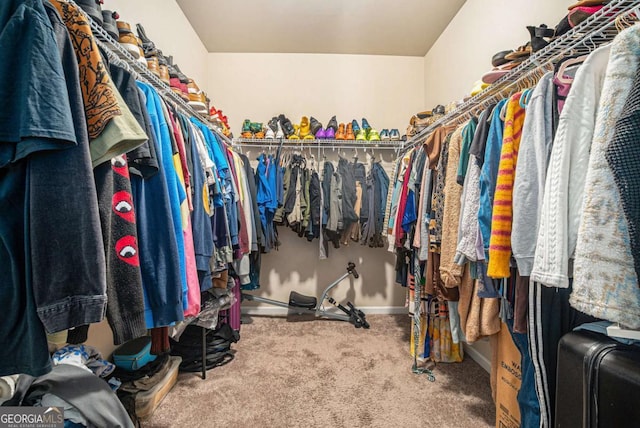 spacious closet featuring carpet flooring