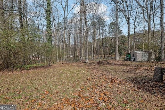 view of yard with a shed