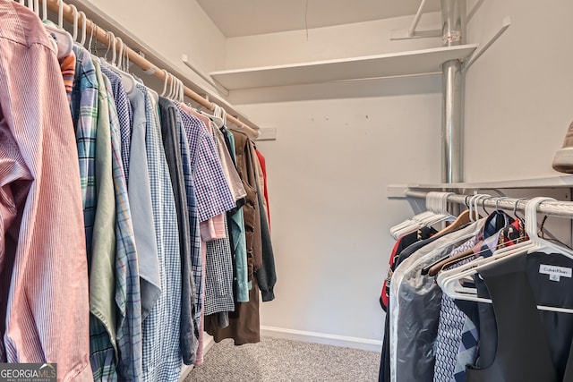 spacious closet featuring carpet