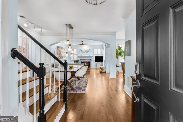 foyer entrance featuring hardwood / wood-style flooring, ceiling fan, rail lighting, and ornamental molding