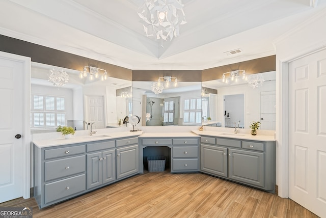 bathroom with vanity, hardwood / wood-style floors, and a wealth of natural light