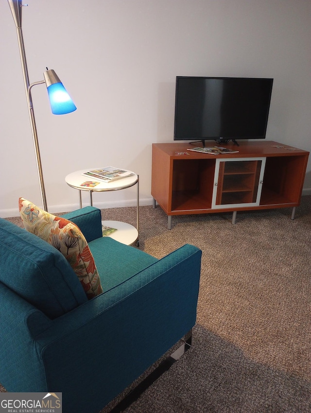 307 Adair St Unit E7, Decatur, GA 30030 - living room featuring carpet floors and baseboards