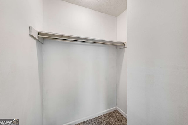 spacious closet with carpet