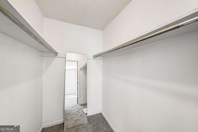 spacious closet featuring carpet floors