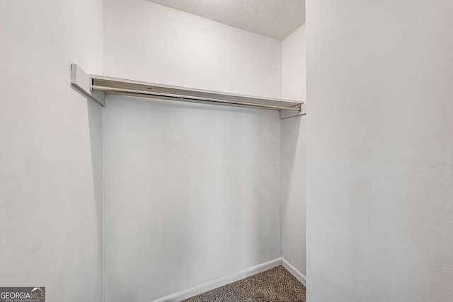 walk in closet featuring carpet