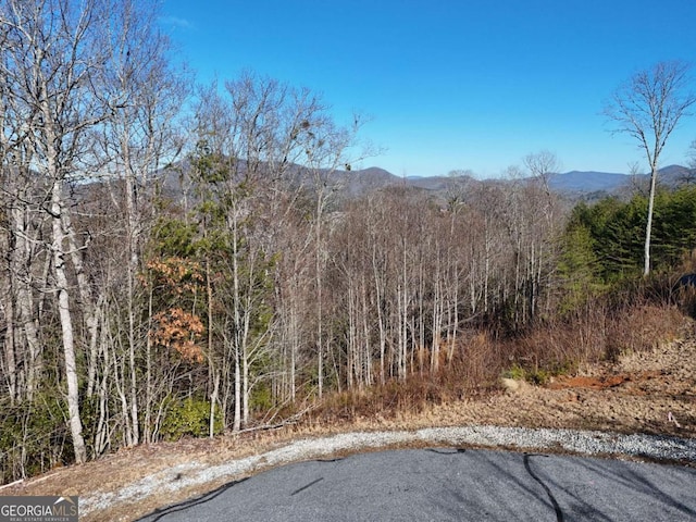 Listing photo 3 for 2374 Haven Heights Rd, Hiawassee GA 30546