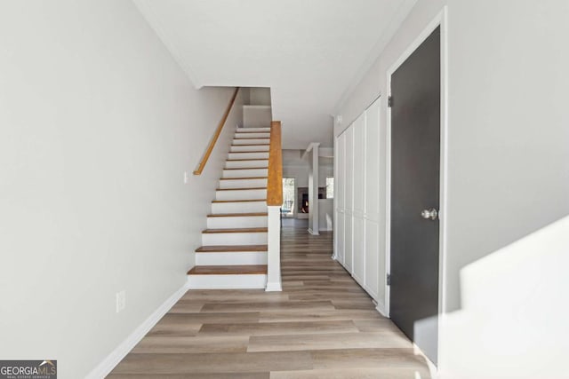 stairs with wood-type flooring