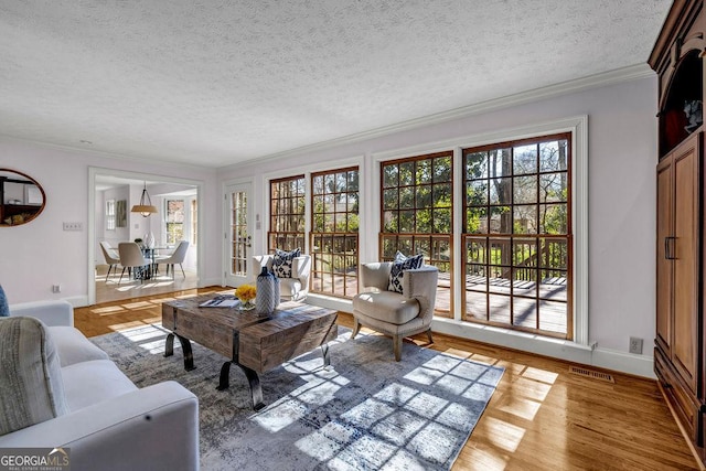 living area featuring crown molding, a textured ceiling, and a healthy amount of sunlight