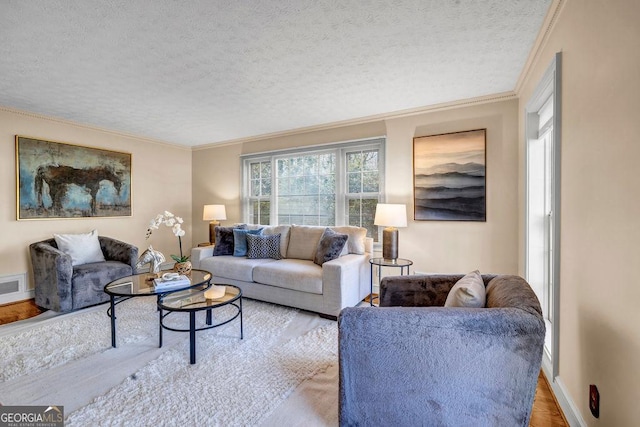 living area with baseboards, ornamental molding, and a textured ceiling