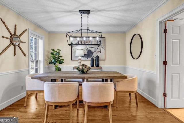 dining room with ornamental molding, a wainscoted wall, a textured ceiling, and light wood finished floors