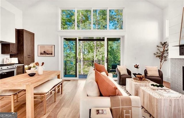 living room with high vaulted ceiling and light hardwood / wood-style flooring