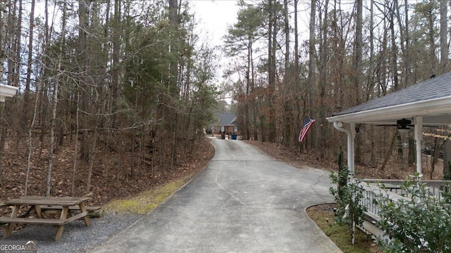 view of street with driveway