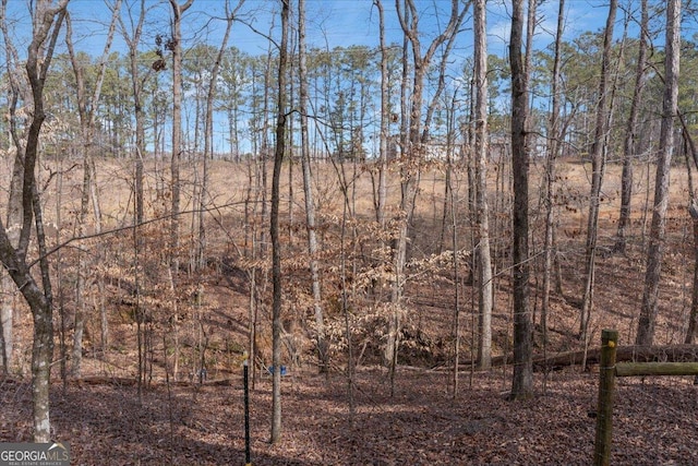 view of local wilderness