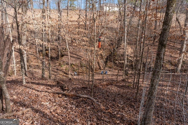 view of local wilderness