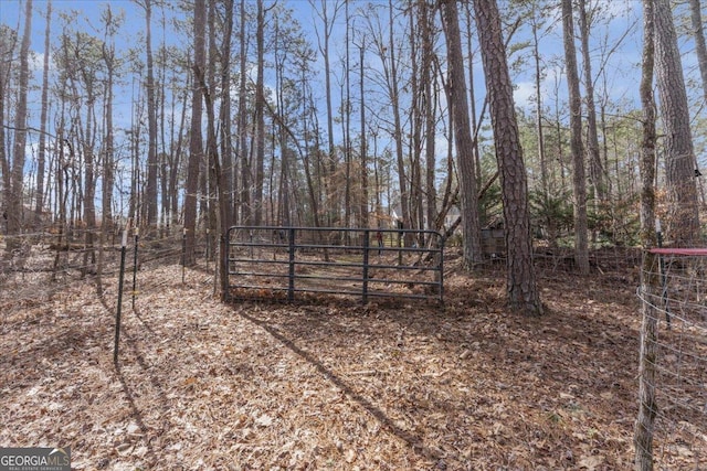 view of yard featuring a gate