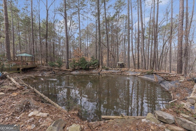 property view of water with a wooded view