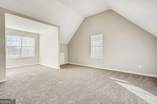 additional living space featuring baseboards, carpet floors, and lofted ceiling