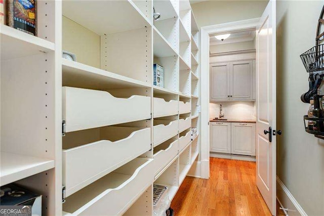 3201 Hobsons Ridge Trl NW, Acworth, GA 30101 - view of pantry