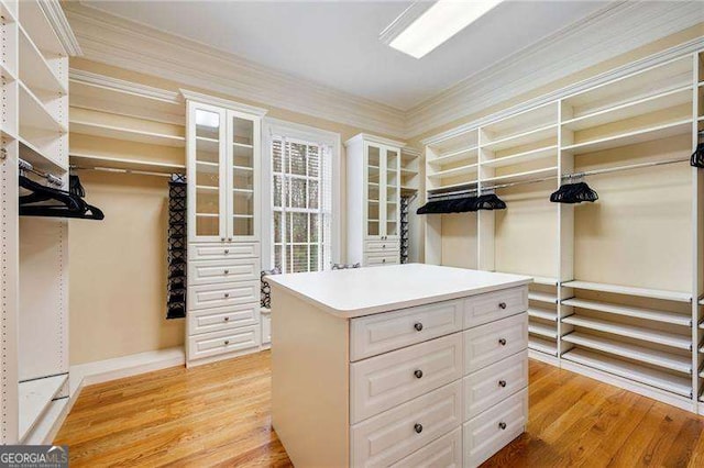 3201 Hobsons Ridge Trl NW, Acworth, GA 30101 - walk in closet with light wood-type flooring