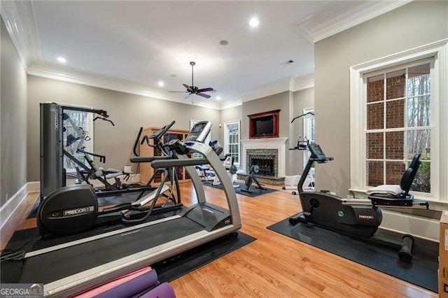 exercise room featuring hardwood / wood-style floors, crown molding, and ceiling fan