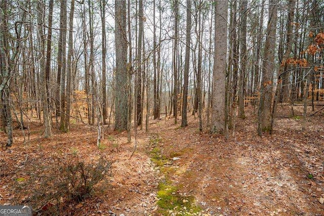 3201 Hobsons Ridge Trl NW, Acworth, GA 30101 - view of wooded area
