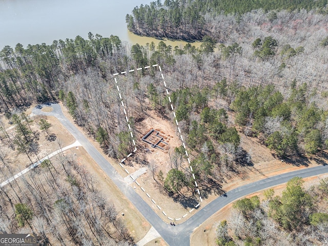 1021 Pointe S, Tignall, GA 30668 - view of property location with property parcel outlined