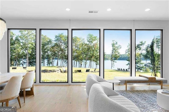 doorway featuring a water view, plenty of natural light, and light hardwood / wood-style floors