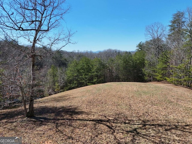 Listing photo 3 for LT13/14 S Williamstown Rdg, Mineral Bluff GA 30559