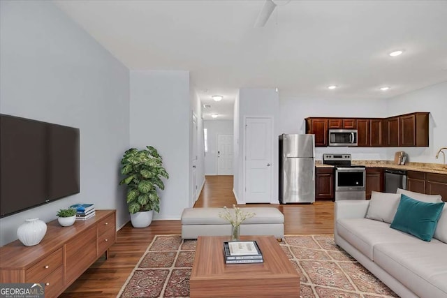 living room with sink and wood-type flooring