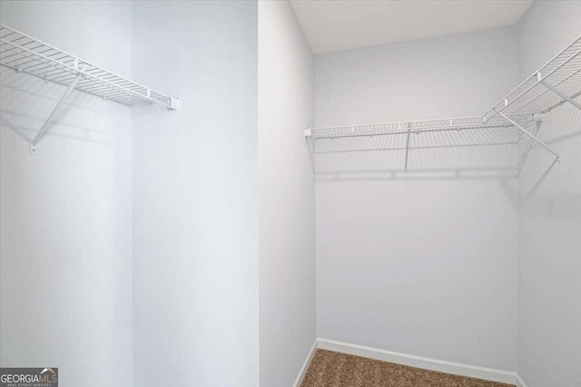 spacious closet with carpet