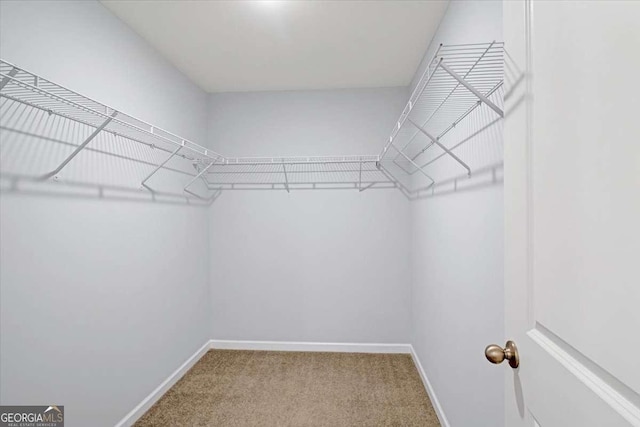 spacious closet with carpet flooring