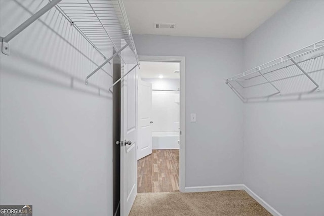 walk in closet with carpet flooring