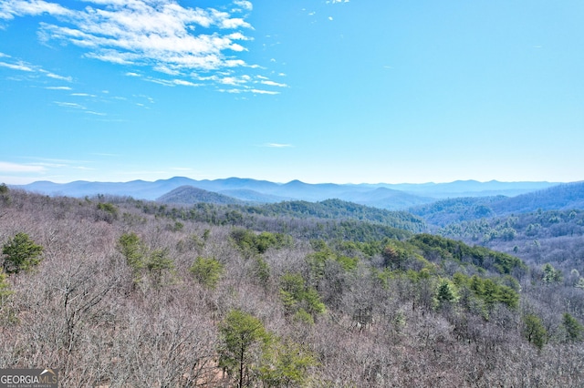 view of mountain feature