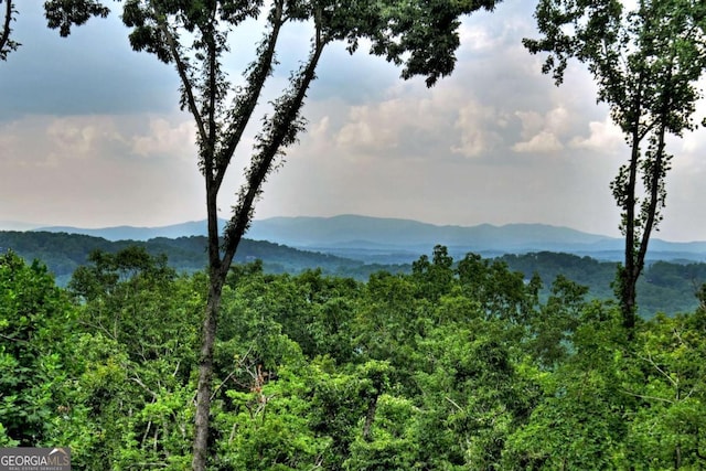 property view of mountains