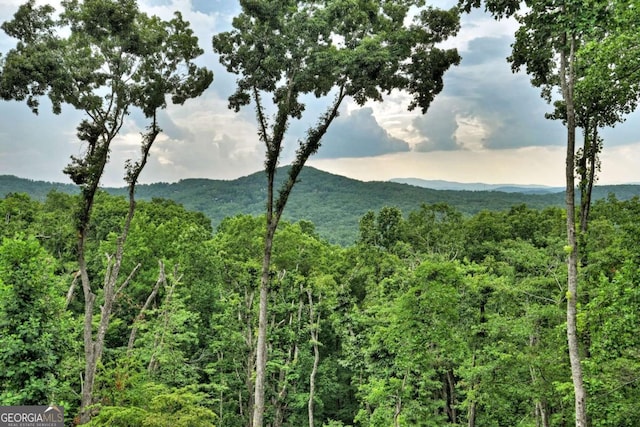 415 Green Ridge Trl, Blue Ridge, GA 30513 - mountain view